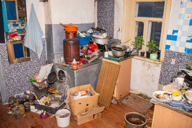 Suburban home wooden storage utility unit shed with miscellaneous stuff on shelves, bikes, exercise machine, ladder, garden tools and equipment. Messy and chaos at house yard barn. Organization order