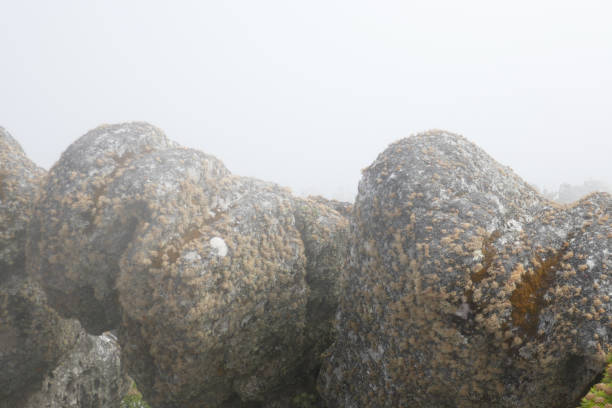 The Table mountain is a flat-topped  mountain forming a prominent landmark  overlooking the city of Cape Town.