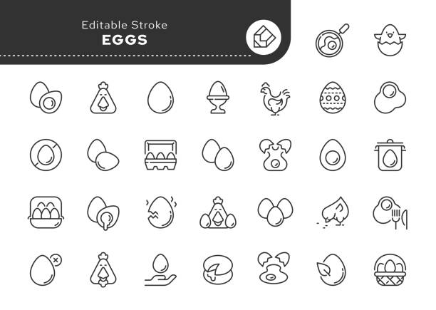 stockillustraties, clipart, cartoons en iconen met eggs line icon set in linear style - gebakken ei