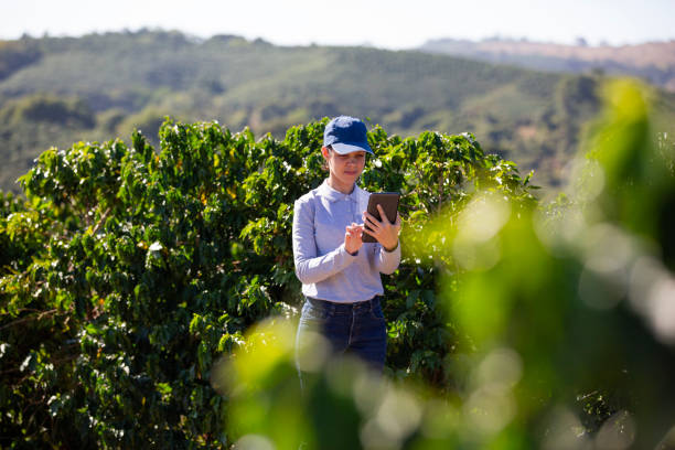 istock Farmers in coffee plantation 2180993244
