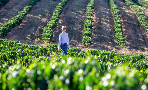 istock Farmers in coffee plantation 2180994144