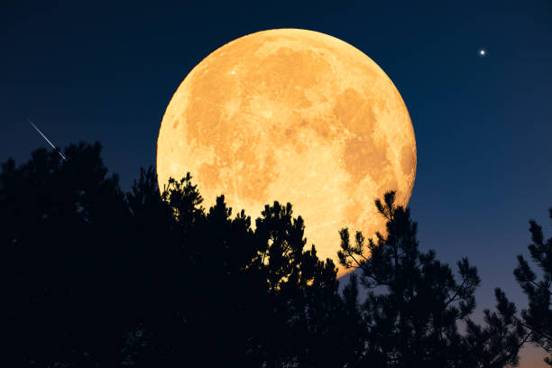 istock Full Moon, stars, planets and landscape scenery silhouettes. 2180994251