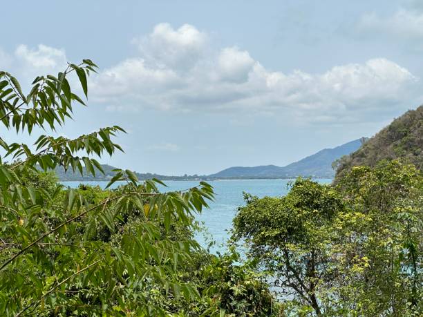 istock sea view from a the distance with trees 2180994814