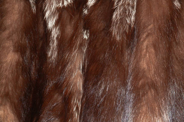 istock Background of winter fur coats, close-up. 2180995538