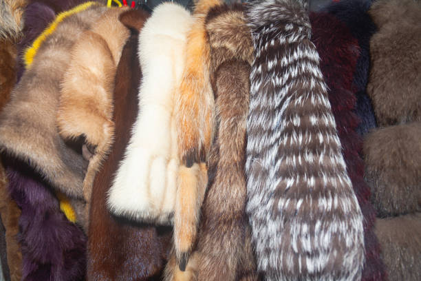 istock Fur winter coats hanging on hangers, close-up. 2180995551