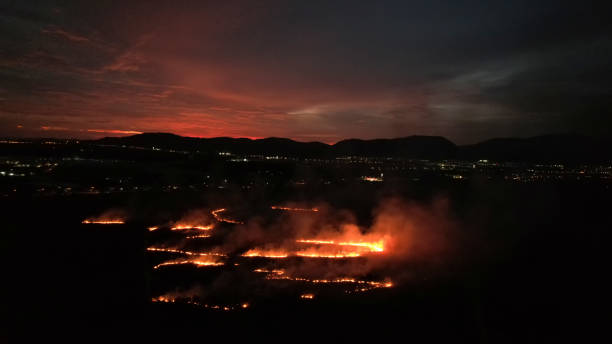The image  of a forest fire at night from a high angle. High angle photograph showing a permit burn at night
