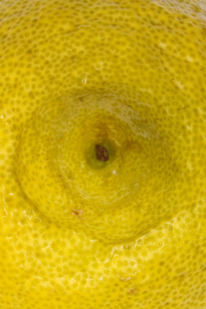 cross section of a tangerine illuminated by backlight structure