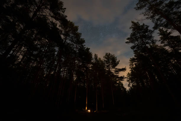 istock Night photo, candle burning in a dark forest, starry sky and clouds. 2181001153