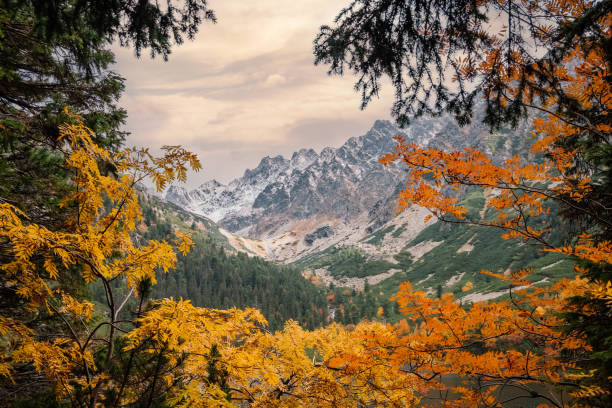 istock Mountain Alps landscape on a misty Autumn day 2181002666