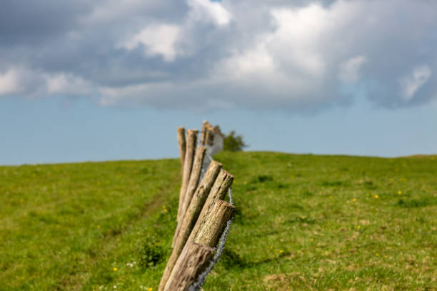 A close up of a wooden fence in the South Downs, with a shallow depth of field