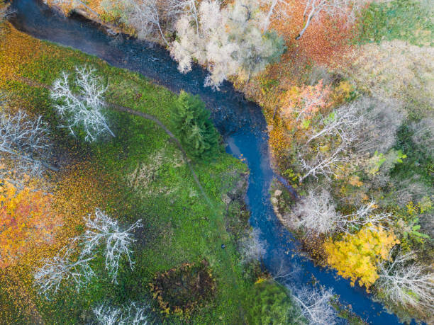 istock Ligatne river in autumn, photo view from drone. 2181005818