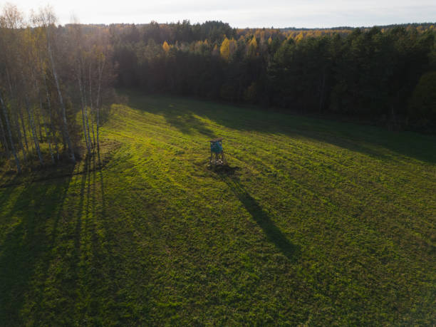Hunting tower in the forest in Latvia, photo view from a drone on an autumn day.