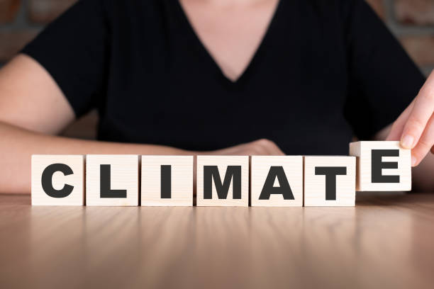 istock Climate word with wooden blocks on table 2181006325