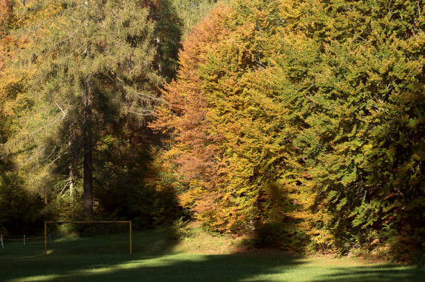I colori dell’autunno