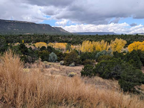 istock Golden Aspens, Pecos National monument and glorieta mesa 2181013684