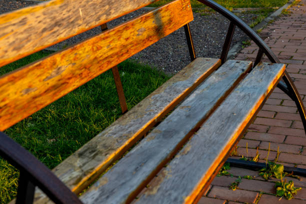 A weathered wooden bench under warm sunlight in a quiet park setting during late afternoon