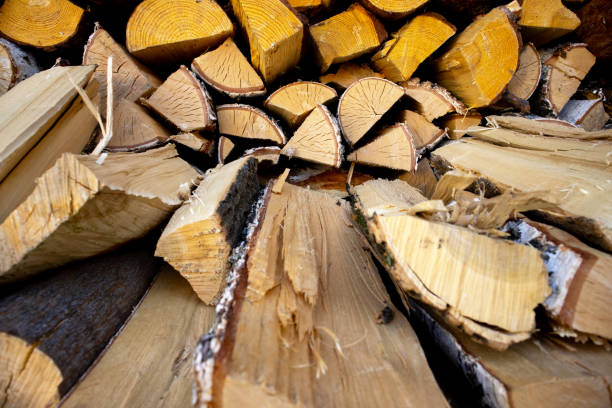Stacked firewood logs ready for winter in a rural setting during the afternoon