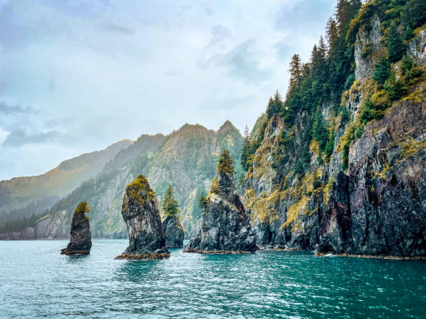 istock Kenai Fjords National Park 2181016823