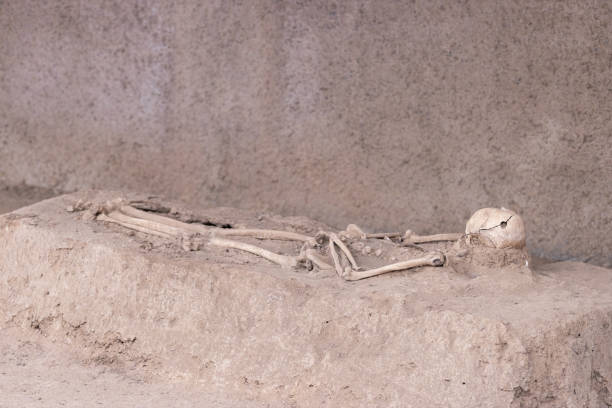 istock Human skeleton at archaeological site with surgery trepanned skull hole. Human skull with trepanation. 2181019706