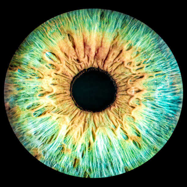 An incredibly mesmerizing abstract representation of an eye, featuring vivid colors and intricate patterns in detail