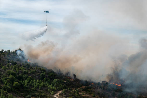 istock Helicopter in action fighting forest fire with water over pine forest 2181024908