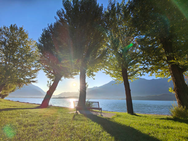 Scenic shot of a tranquil lake como landscape in domaso,  featuring a bench under trees with sunlight streaming through, highlighting the peaceful beauty of nature.