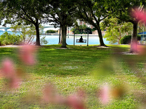 Sarasota bay front public park, Florida
