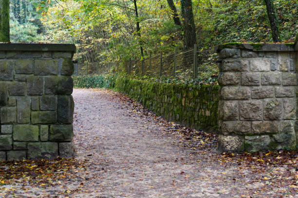 A stone pathway flanked by moss-covered stone walls leads into a forested area. The path is lined with fallen leaves, suggesting an autumn setting.