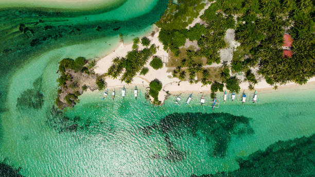 istock Top view of Beautiful sandy beach. 2181030007