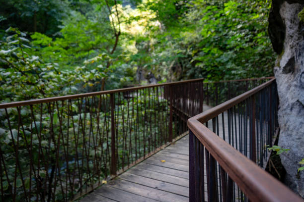 Stevens Path 80+ Stevens Trail Stock Photos, Pictures & Royalty-Free Images - iStock