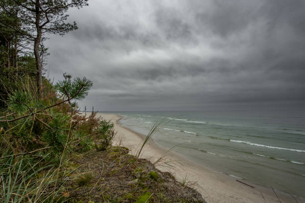 Dramatic clouds race across vast skies while restless waves surge beneath. From towering dunes, this raw spectacle unfolds where stormy heavens meet untamed waters of the Baltic shore.