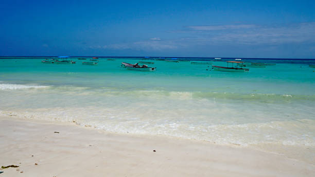 istock Tanzania Landscape 2181036108