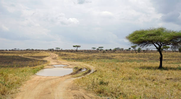 istock Tanzania Landscape 2181036810