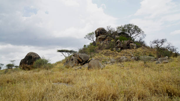 istock Tanzania Landscape 2181036895