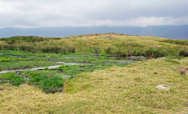 istock Tanzania Landscape 2181037106