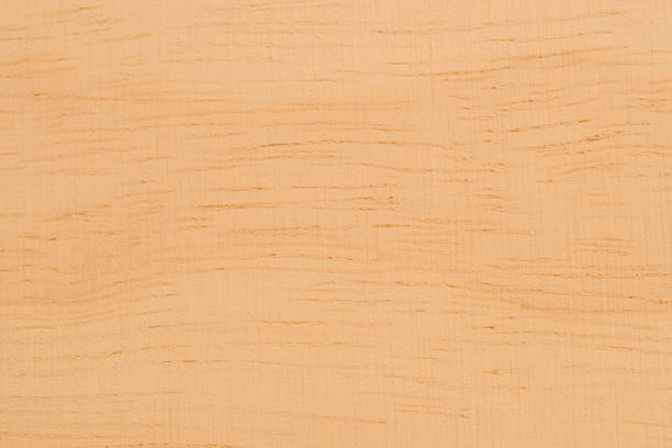 Wood texture. Wood texture for design and decoration