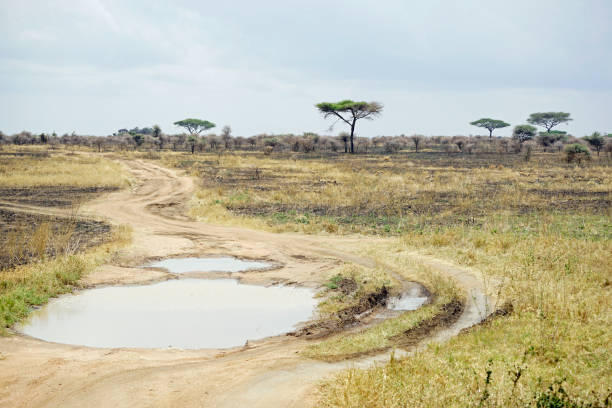Landscape in Tanzania