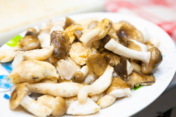 Hygrophorus glyocyclus mushrooms in the kitchen