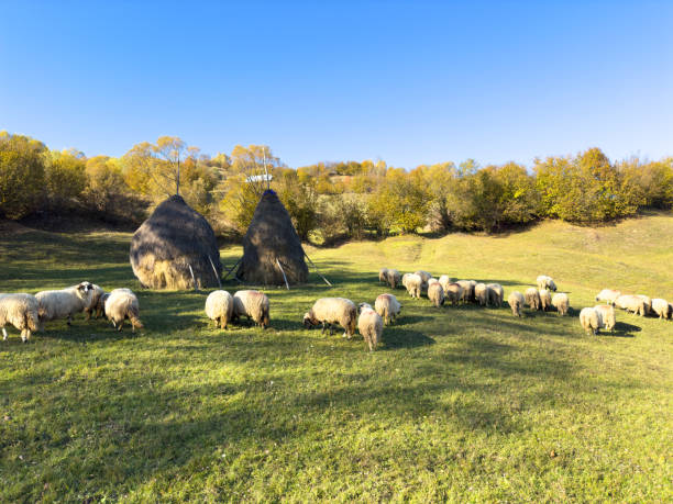 istock Beautiful autumn landscape 2181040298