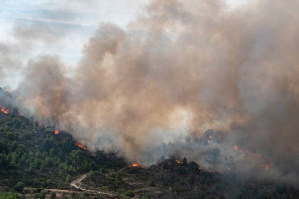 istock Devastating flames and clouds of smoke in the sky 2181048407