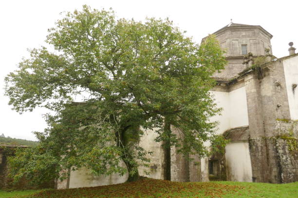 istock Views and details of Monfero Monastery 2181048490