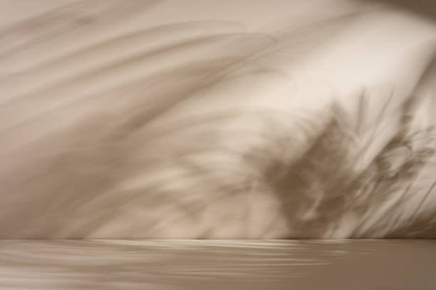 istock Minimal abstract beige background with soft shadow from plant 2181048508