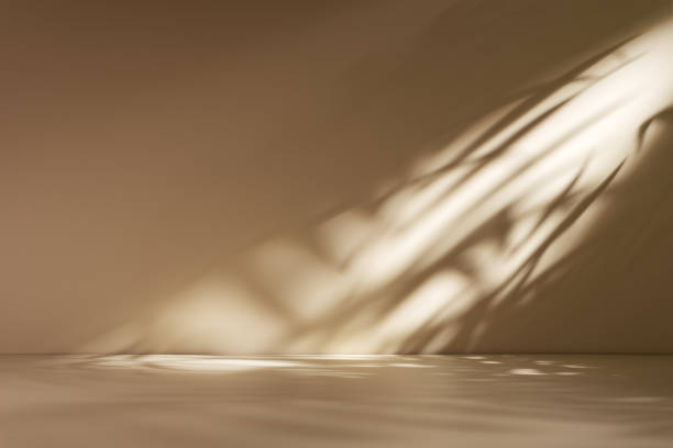 istock Minimal abstract beige background with soft shadow from plant 2181048750