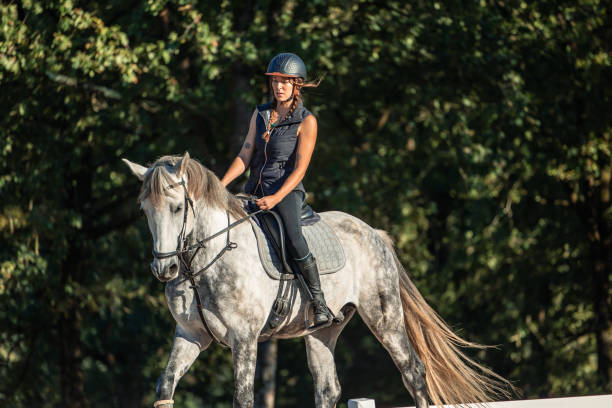 istock copyspace focused female rider with helmet guiding horse during training at ranch 2181054456