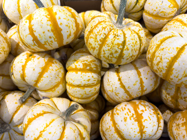 istock Pumpkins or gourds for sale 2181055198