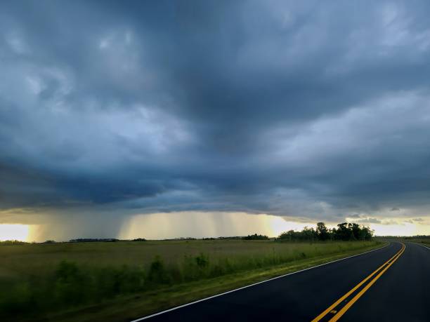 istock Downpour Rain in the Florida Everglades 2181055492
