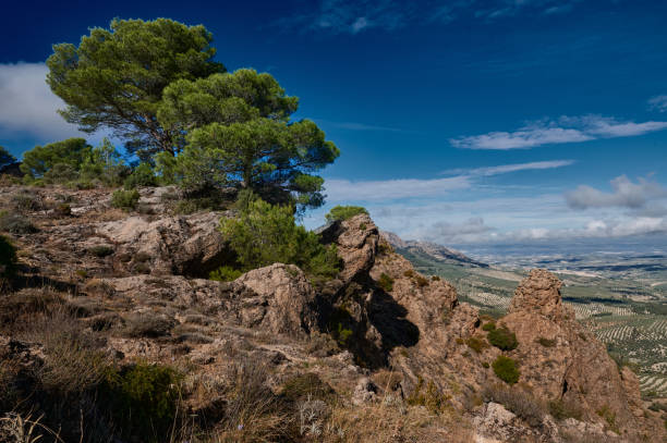 istock Scenic rocky landscape with lush green trees and blue sky 2181056594