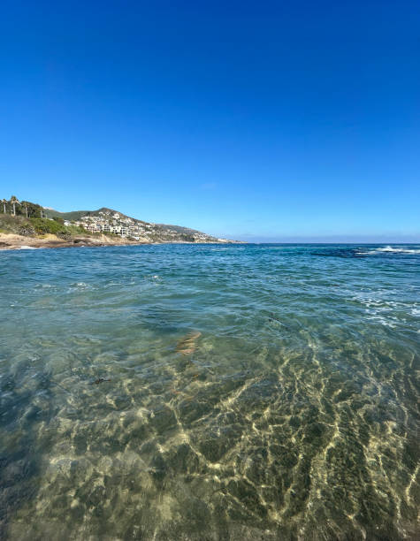 A breathtaking view of crystal-clear ocean water at Laguna Beach, with gently rolling waves and a cloudless blue sky. The sandy seafloor is visible through the transparent water, reflecting sunlight and creating a serene and inviting scene. The coastline with distant cliffs adds depth to this idyllic beach landscape, evoking the perfect summer day by the sea.