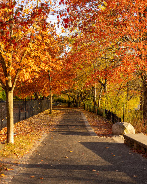 istock Autumn in the Arlington Spy Pond Park 2181059809