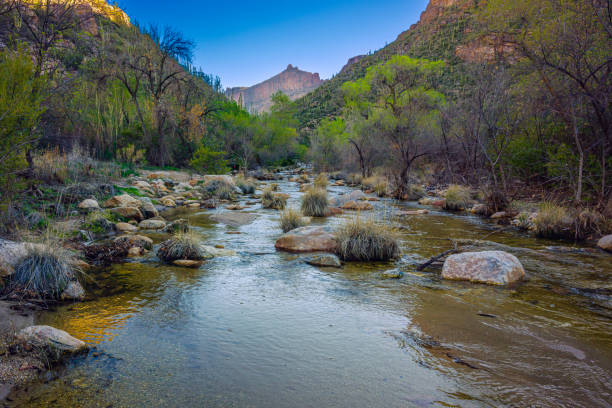 istock Tranquil River Flowing Through Scenic Mountain Valley Landscape at Dawn 2181061409